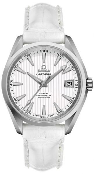 Omega Seamaster Aqua Terra Chronometer Silver Dial Men's Watch 231.10.39.21.02.001